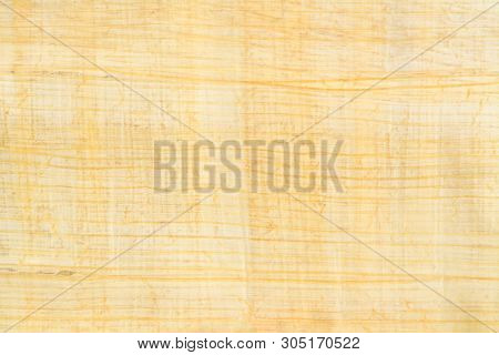 Real Egypt Papyrus Paper Background And Texture Number 26. Close Up Macro.