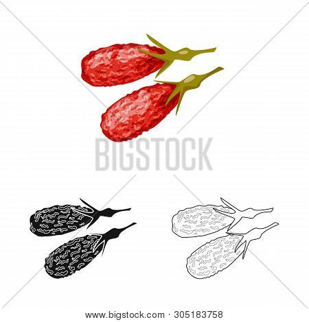 Vector Design Of Goji  And China  Logo. Set Of Goji  And Herbal  Vector Icon For Stock.