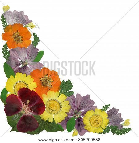 Bouquet Of Dried Pressed Flowers Isolated On White Background. For Use In Floristics, Scrapbooking A