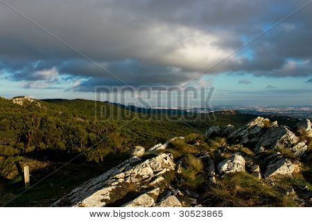 Montanha de pedras e árvores