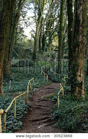 Escadas de madeira via