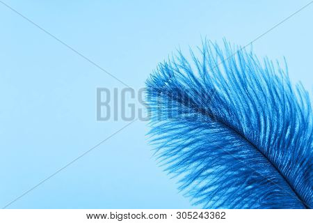 Blue Artificial Feather Close Up. Exotic, Tropical Bird Wing Feather On Blue Background. Fashion, Or