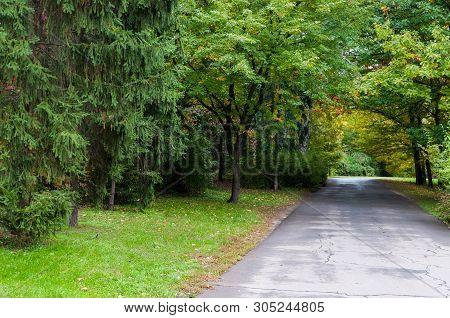Wide Road Trough Green And Yellow Tree Tunnel. Fresh Green Trimmed Lawn With Fallen Yellow Leaves Be