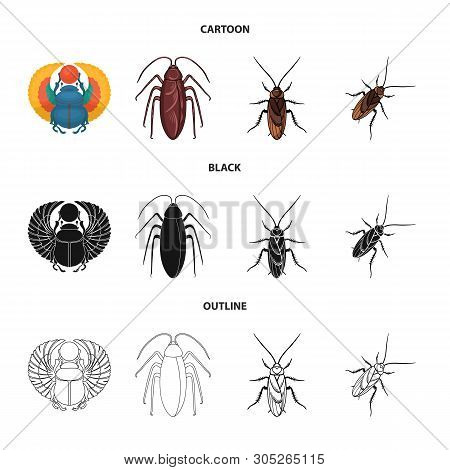 Vector Illustration Of Insect And Beetle Icon. Set Of Insect And Halloween Vector Icon For Stock.