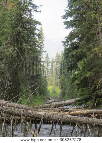 Taken At Upper Hyalite Creek, Near Bozeman, Mt.