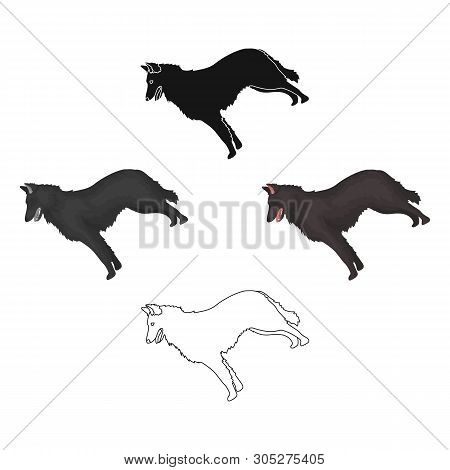 The Dark Belgian Wolf. Belgium Single Icon In Cartoon, Black Style Vector Symbol Stock Illustration.