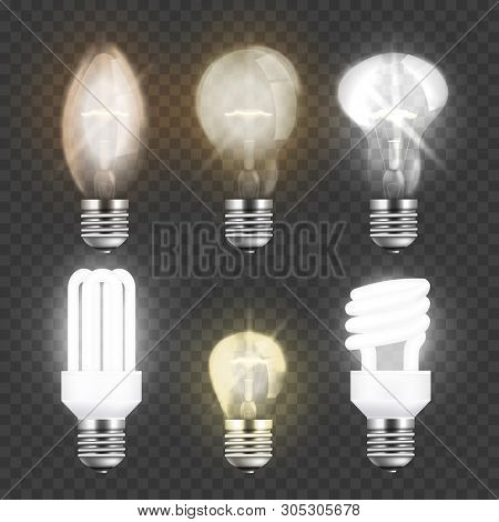 Webset Of Realistic Electric Light Bulbs, Different Types Of Glass Or Fluorescent Lightbulbs