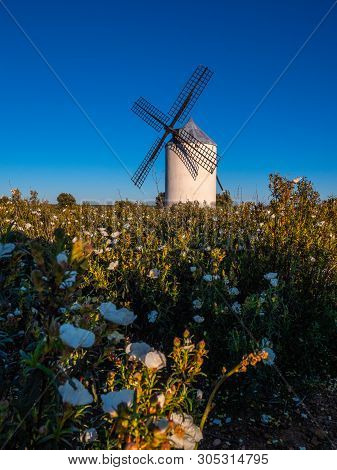 Molino De Vinuelas, A Region Near Guadalajara Photographed At Sunset With A Field Of Flowers In The 