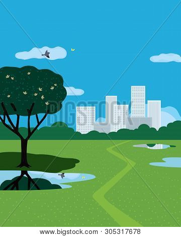 Summer City Park Flat Color Vector Poster. Hand Drawn Green Grass Lawn, Ponds In City Park Cartoon I