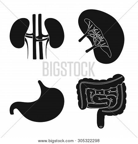 Isolated Object Of Research And Laboratory Sign. Set Of Research And Organ Vector Icon For Stock.