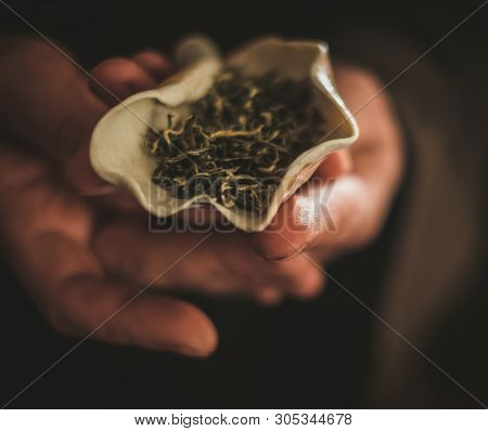 Tea master holding bowl with a tea