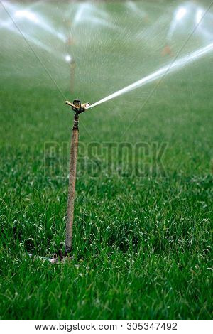 Sprinker irrigation system spraying water on field agricultural