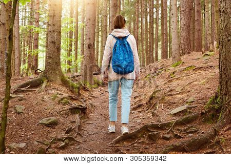 Outdoor Shot Of Girl Traveler Walking In Forest, Girl With Blue Backpack In Woods, Young Lady Walks 