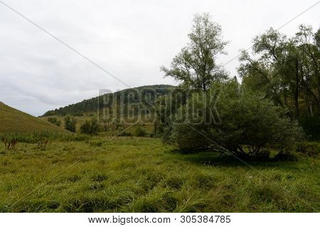 Mountain Landscape In The Vicinity Of The Village Of Generalka Altai Territory