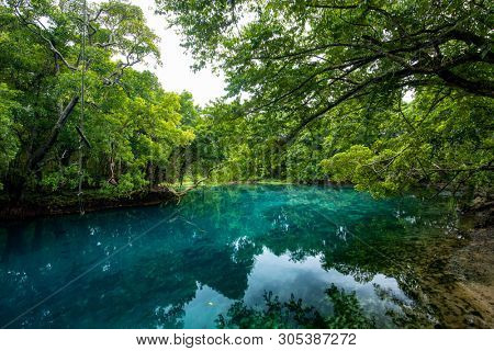 Matevulu Blue Hole, Espiritu Santa Island, Vanuatu, famous tourist destination