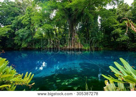 Matevulu Blue Hole, Espiritu Santa Island, Vanuatu, famous tourist destination