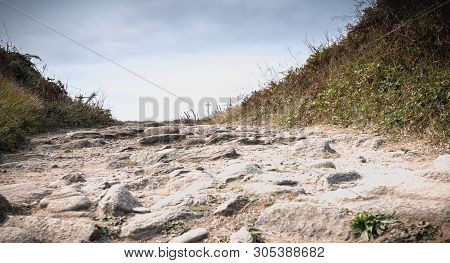 View Of The Wild Vegetation Of The Cross Of The Tip Of Chatelet On The Island Of Yeu