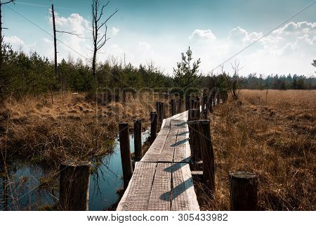 Hiking In The Netherlands, The Plank Route In The Province Drenthe Nearby Spier