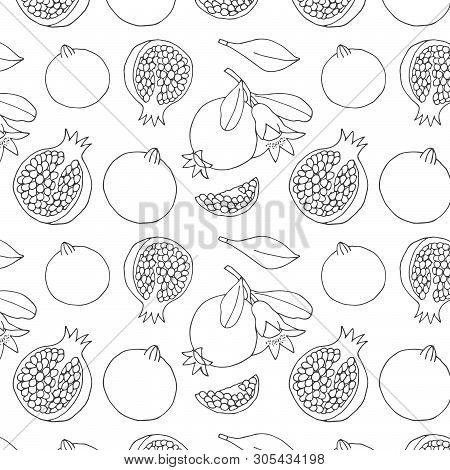 Hand Drawn Sketch Pattern Of The Pomegranate. Garnet Vector Background