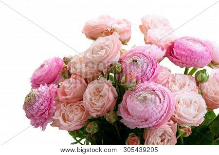 Rose And Rununculus Flowers Stems Isolated On White Background