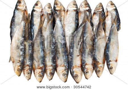 dried fish isolated