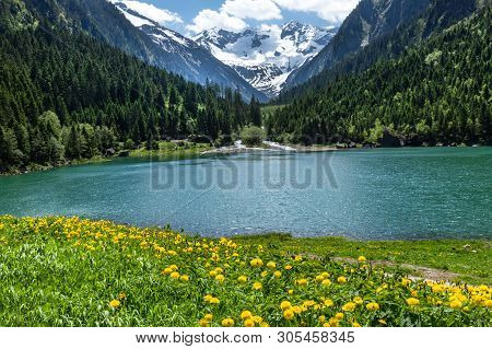 Amazing Alpine Landscape With Green Mountain Lake, Yellow Flowers And Snowy Peak In The Background. 