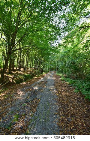Road In The Park Mountain Area Of The Mountain Kizilovka In The Foothills Of The North Caucasus