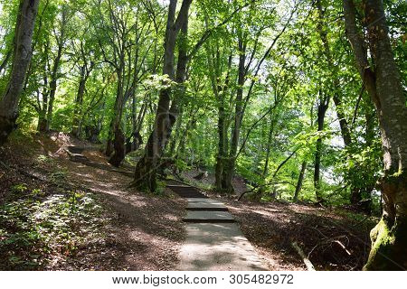 Walking Ladder In The Park Mountain Zone Of Kizilovka Mountain In The Foothills Of The North Caucasu