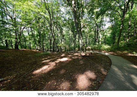 Road For Walks Among The Trees In The Park Mountain Area Of The Kizilovka Mountain In The Foothills 