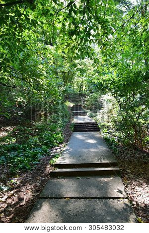 Forest Road With Steps For Tourism Among Green Trees In The Summer On Mount Kizilovka In The Foothil