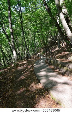 Road From The Mountain For Active Recreation Among The Trees In Summer On The Mountain Kizilovka In 