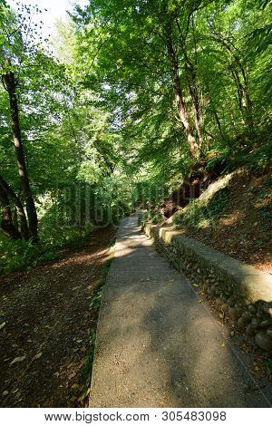 Road For Active Recreation Among Trees In The Summer On Mount Kizilovka In The Foothills Of The Nort