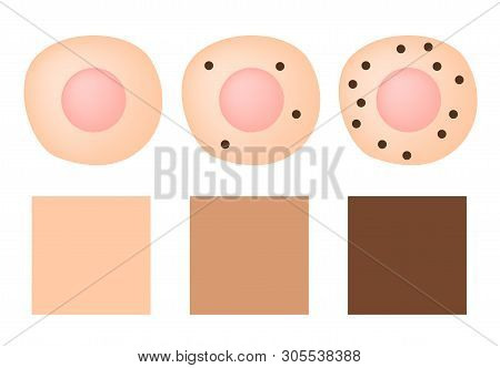 Melanin In Cell And Skin Color Vector . Protect White Skin