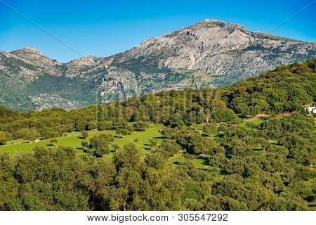 Landscape Near Ubrique, Cadiz. Spain, Andalusia In The Park Of Alcornocales