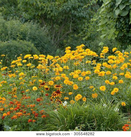 A Variety Of Flowers In The Summer Groomed Park