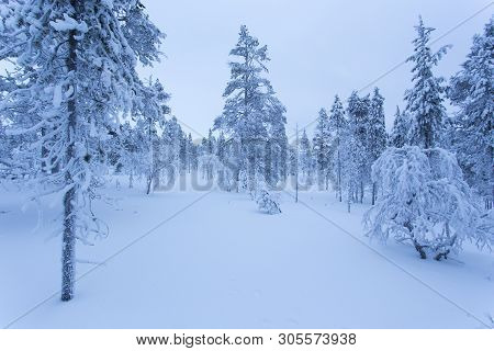 Frozen Landscape During Polar Night In Saariselka, Finland
