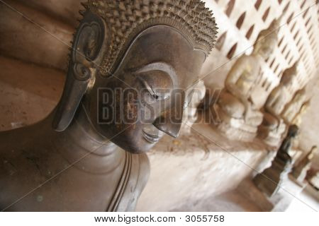 Rækker af Buddhaer
