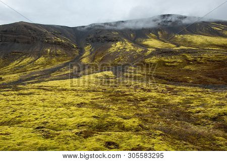 Eldhraun Lava Field In Iceland