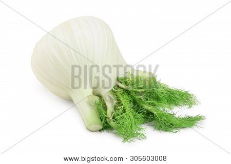 Fennel Bulb. Single Fresh Fennel Bulb With Leaves On White Background