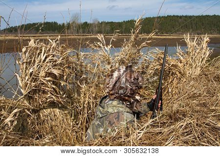 Hunter Hiding In A Blind Of Reeds Waiting For Ducks On The Lake