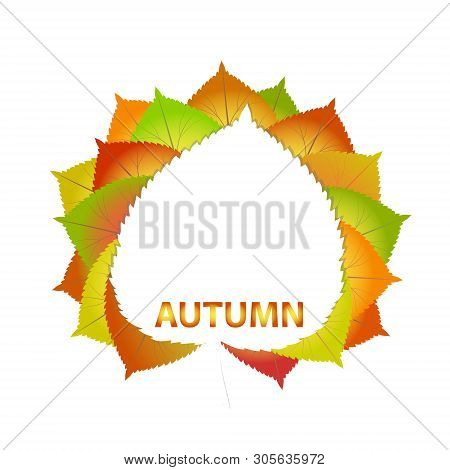 Colorful Autumn Leaves On A White Paper Back To School Background Stock Vector Illustration