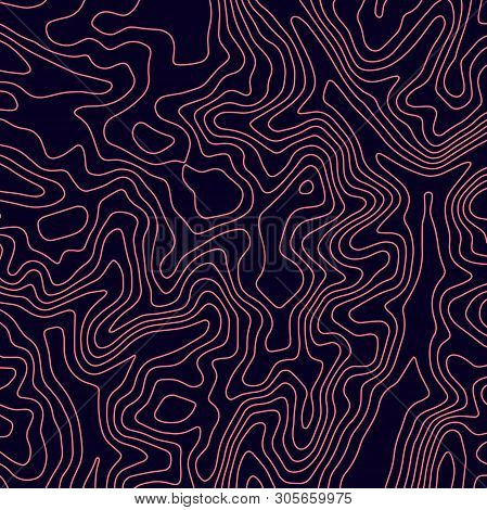 Topographic Map Lines Background. Abstract Vector Illustration. Contour Vector Map.