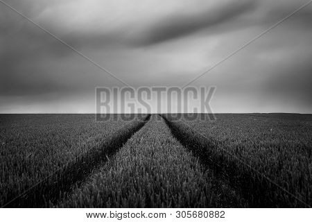 Moments Before The Rain Drops... - Belgium Menen - Long Exposure Black And White Photo Of A Wheat Fi