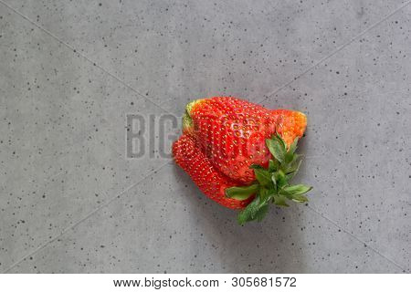 Ugly Strawberry. Strange Imperfect Shape Organic Fruit On Gray Cement Background. Misshapen Produce,
