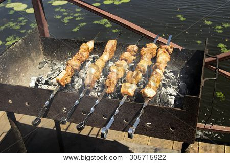Shashlik Of  Mutton, Beef Or Chicken Meat On Barbeque Outdoor