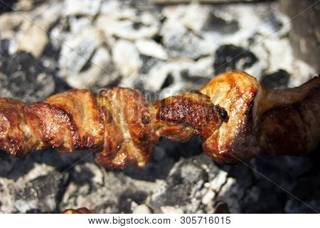 Shashlik Of  Mutton, Beef Or Chicken Meat On Barbeque Outdoor