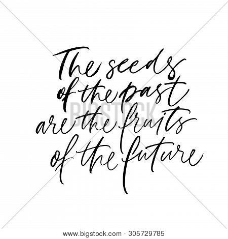 Wisdom Saying, Citation Ink Pen Vector Calligraphy. Seeds Of Past Are Fruit Of Future. Cursive Black