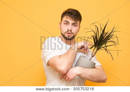Smiling Man With A Beard Stands On A Yellow Background, Holding A Flowerpot With A Plant In His Hand