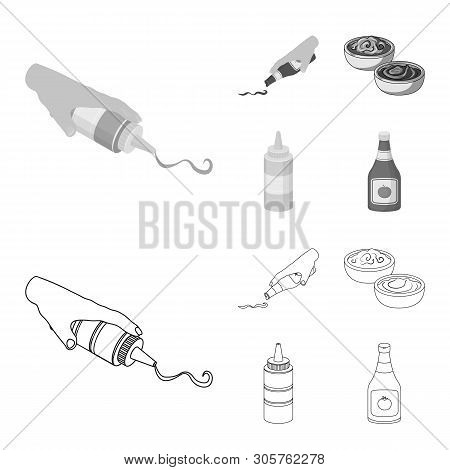 Isolated Object Of Sauce And Condiment Icon. Collection Of Sauce And Bowl Stock Vector Illustration.