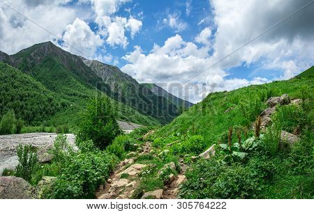 Svaneti Mountains. Green Grass On Hills In Caucasus Mountain. Svaneti Nature Landscape On Sunny Summ